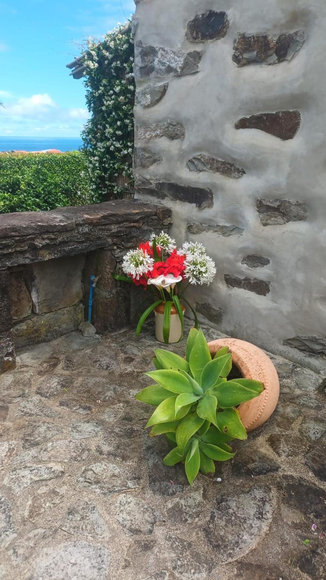 Apartmán Casas Da Quinta Santa Cruz das Flores Exteriér fotografie
