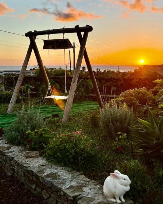 Apartmán Casas Da Quinta Santa Cruz das Flores Exteriér fotografie